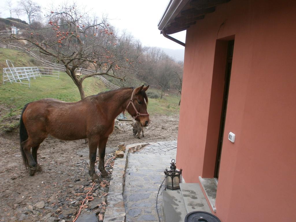 I Poggi Di Grace Bed & Breakfast Fivizzano Exterior photo