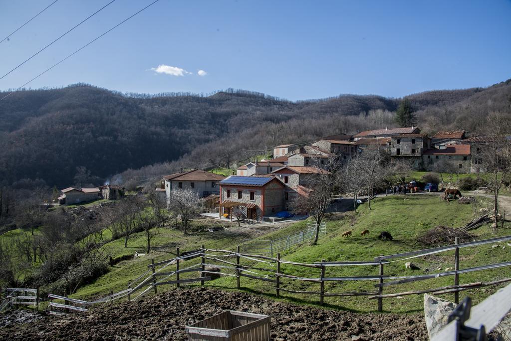 I Poggi Di Grace Bed & Breakfast Fivizzano Exterior photo