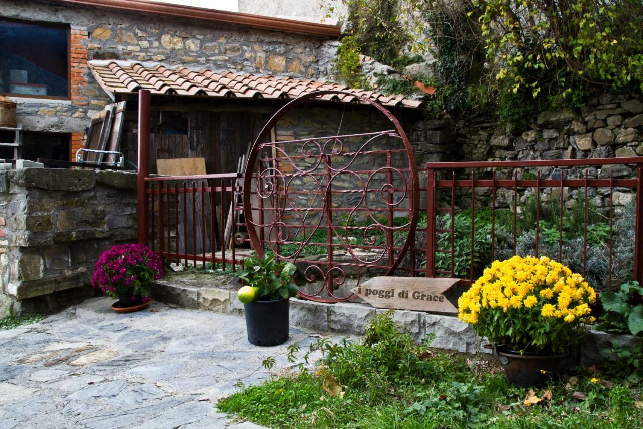 I Poggi Di Grace Bed & Breakfast Fivizzano Exterior photo